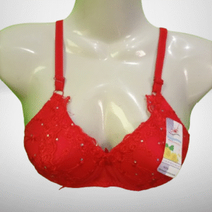 padded embroidered bra fancy bra for women stylish padded bra bridal bra